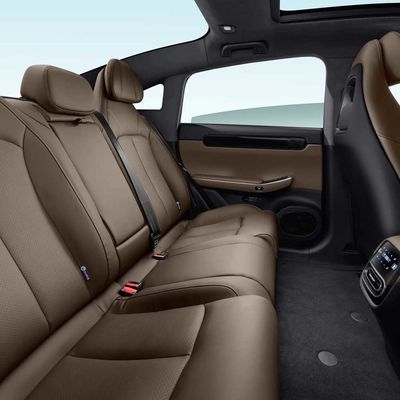Leapmotor C01 500KM ηλεκτρικό φορείο δύο υψηλή ταχύτητα Drive ροδών για το οικογενειακό ταξίδι