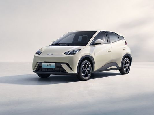 2025 Νέο μοντέλο BYD Seagull Γρήγορη φόρτιση Ηλεκτρικό όχημα Καυτή πώληση Μίνι EV Μεγάλη αυτονομία και μεγάλη μπαταρία 405KM